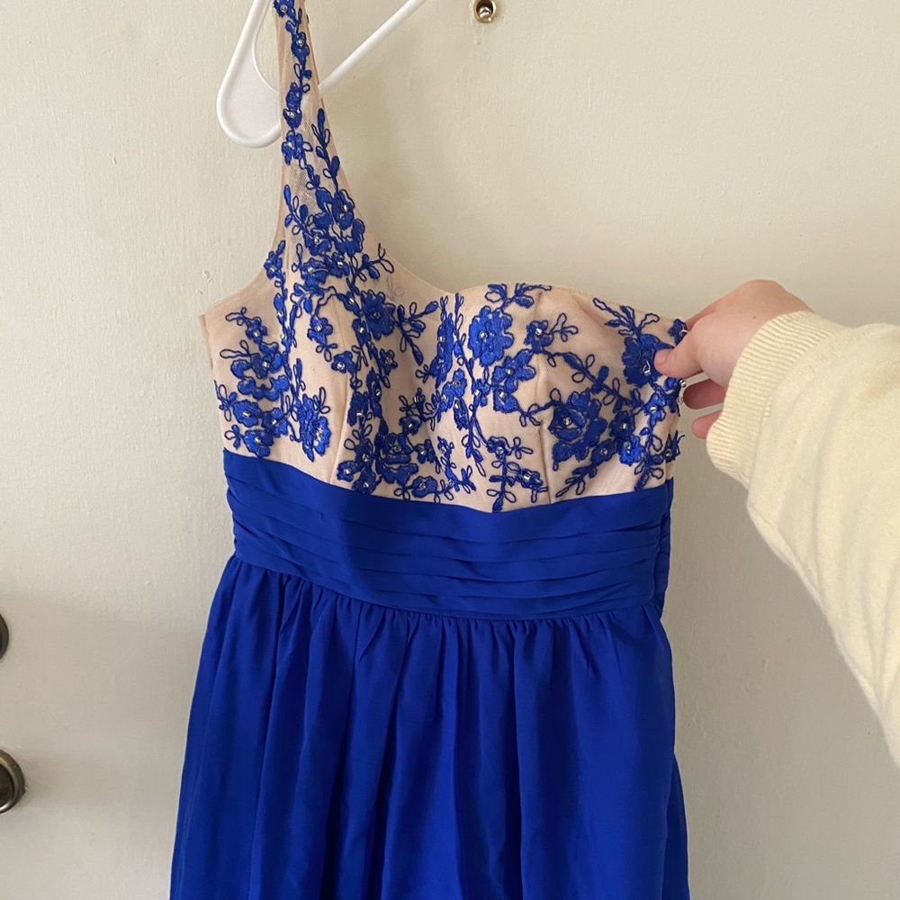 Blue & nude floral dress